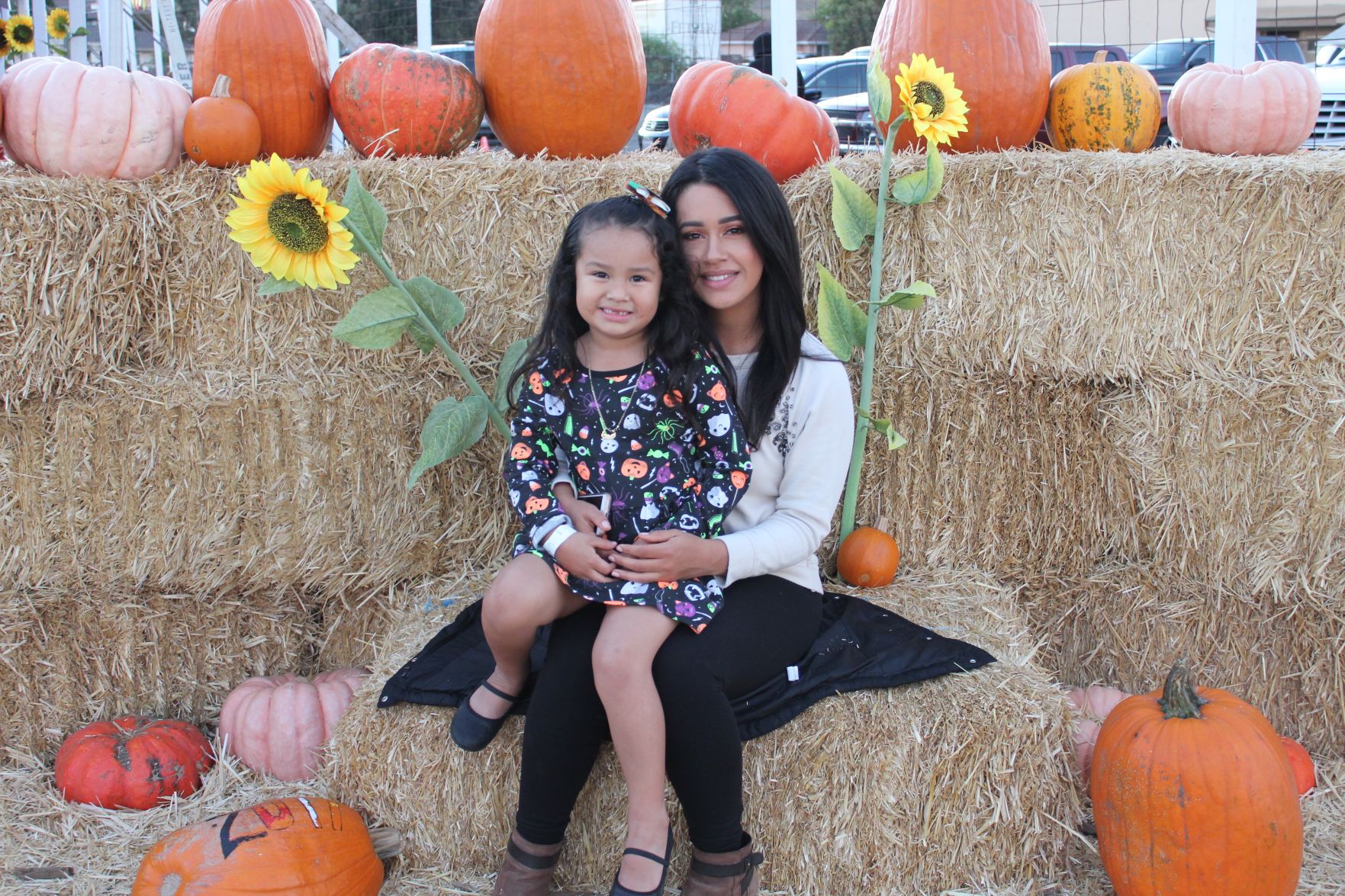 Picking Pumpkins 2017